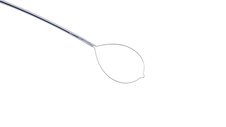 Colonoscopy Cold Rotatable Snare